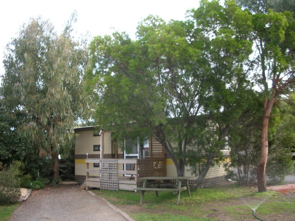 Triabunna Cabin & Caravan Park Room photo